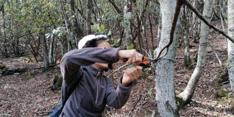 Sardegna, concluso campo antibracconaggio
