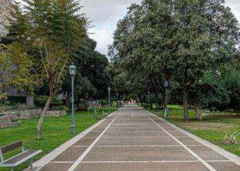 Alberi attaccati dai funghi a Cagliari, via alle cure