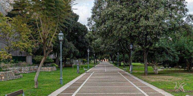 Alberi attaccati dai funghi a Cagliari, via alle cure
