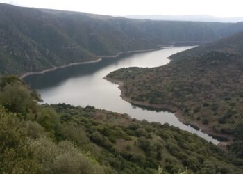 Emergenza idrica, Coldiretti ‘acqua in mare è inaccettabile’