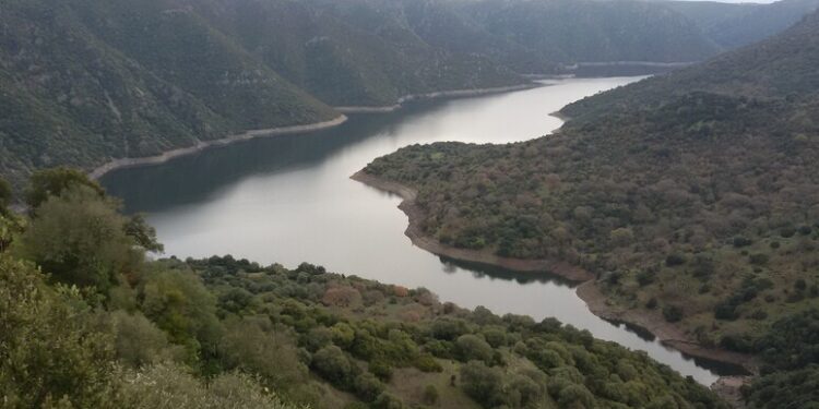 Emergenza idrica, Coldiretti ‘acqua in mare è inaccettabile’