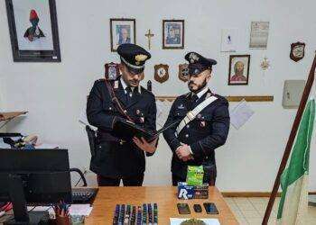 15 chili di marijuana nell’ovile, tre arresti a Belvì