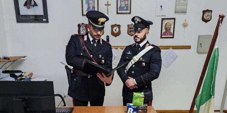 15 chili di marijuana nell’ovile, tre arresti a Belvì