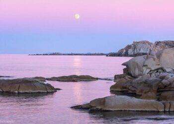 A S.Teresa Gallura progetto per la difesa degli squali