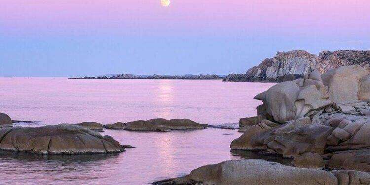 A S.Teresa Gallura progetto per la difesa degli squali