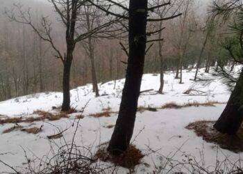 Ultima neve in Sardegna poi temperature in salita