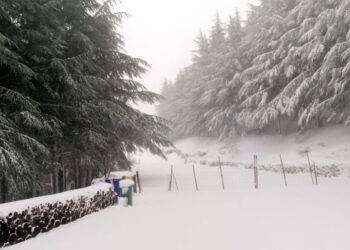 Maltempo: prorogata allerta per pioggia e vento in Sardegna