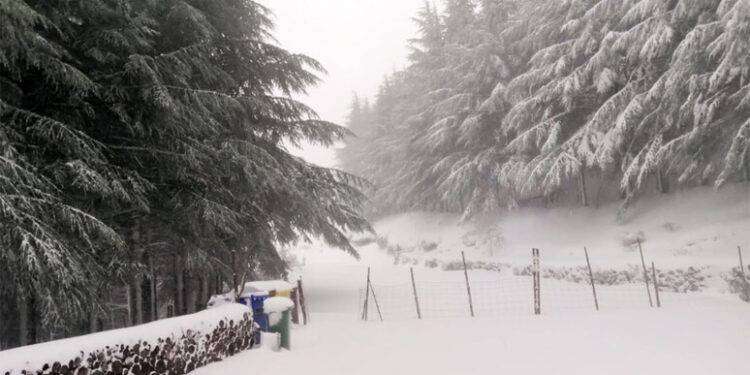 Maltempo: prorogata allerta per pioggia e vento in Sardegna