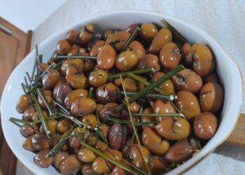 Le olive di Villamassargia conquistano la ribalta nazionale