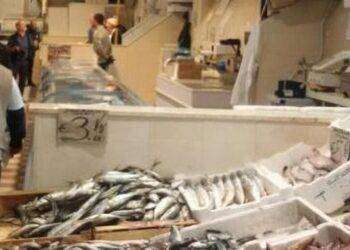 Il pesce povero conquista spazio nei menu dei ristoranti