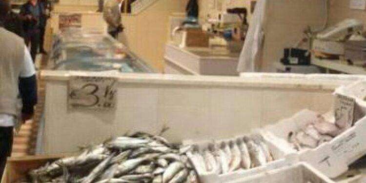 Il pesce povero conquista spazio nei menu dei ristoranti