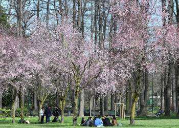 Ultima pioggia, poi anticiclone e temperature in aumento