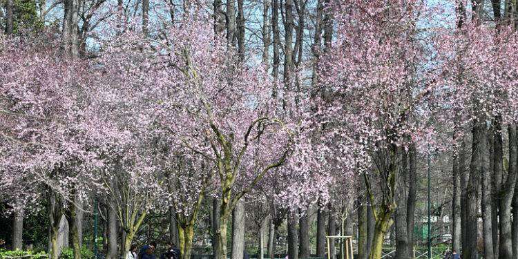 Ultima pioggia, poi anticiclone e temperature in aumento