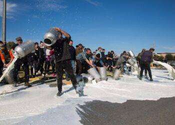 Protesta del latte giusta per le istituzioni, assolti 26 pastori