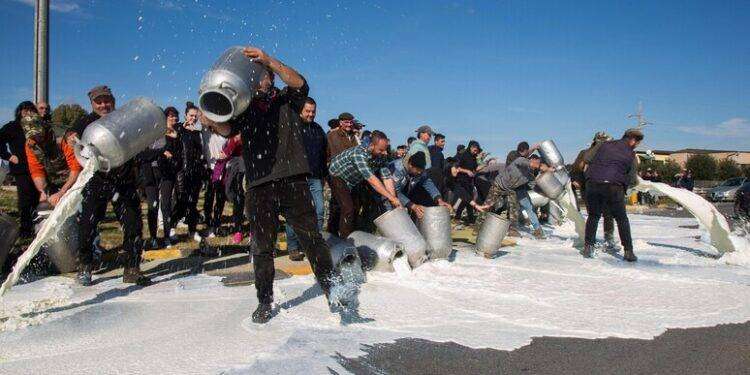 Protesta del latte giusta per le istituzioni, assolti 26 pastori