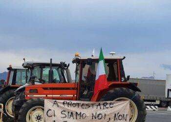 Protesta trattori, fronte comune con i pastori in Sardegna