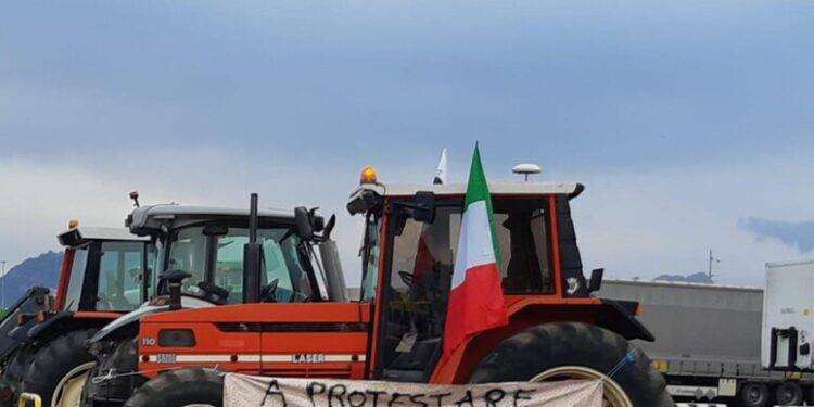 Protesta trattori, fronte comune con i pastori in Sardegna