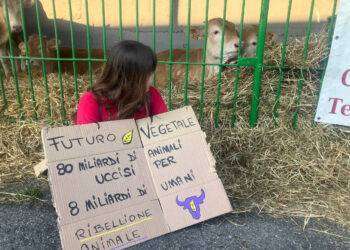 Azione diretta nonviolenta a Rovato alla Fiera delle Carni Lombardia