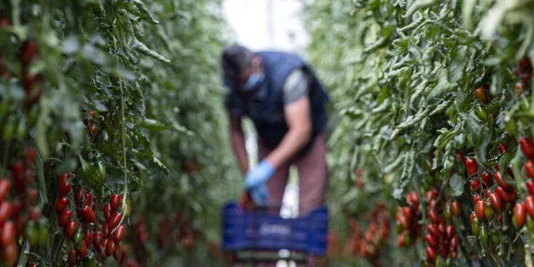 Unicef, nel 2022 in Italia 84mila minori lavoratori