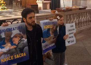 Azioni nonviolente durante le messe di Pasqua: Ribellione Animale nelle chiese per parlare del “massacro” degli agnelli
