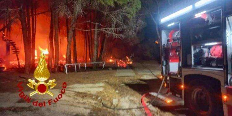 Grosso incendio a Capo Comino di Siniscola, fiamme nella pineta a due passi dalla spiaggia