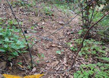 Operazioni antibracconaggio nel Sud Sardegna