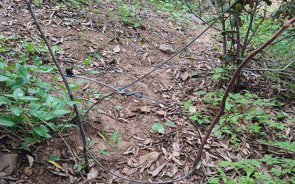 Operazioni antibracconaggio nel Sud Sardegna