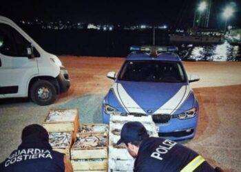 600 chili di pesce sequestrati nel porto di Olbia