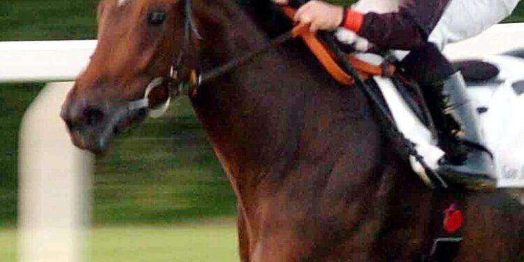 Astro nascente italiano dell’ippica Cherchi muore in Australia