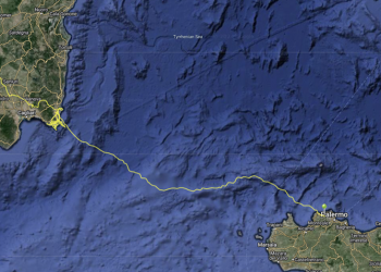 Registrato il primo spostamento di un grifone dalla Sardegna alla Sicilia: Arricelli ha volato per 373 chilometri