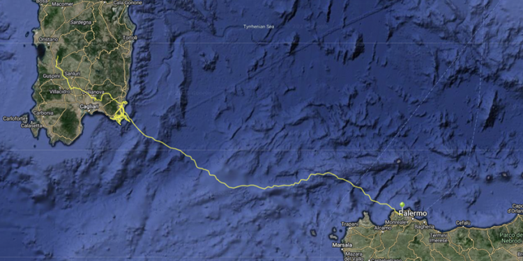 Registrato il primo spostamento di un grifone dalla Sardegna alla Sicilia: Arricelli ha volato per 373 chilometri