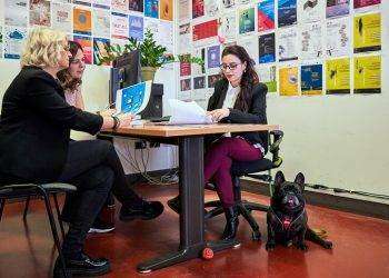 Prof e tecnici da oggi al lavoro in università col proprio cane