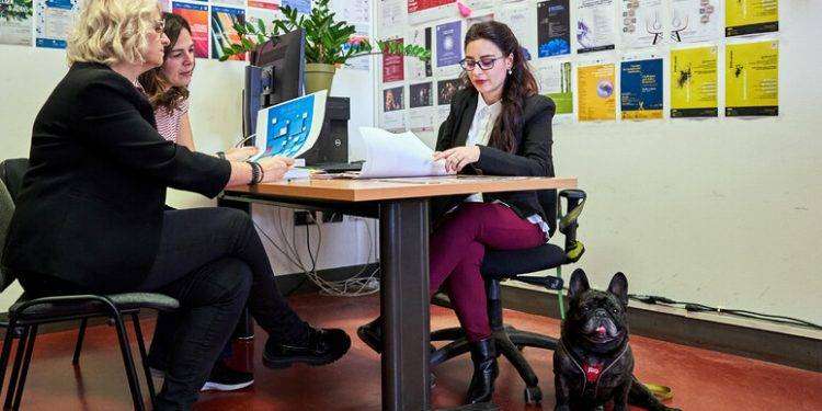 Prof e tecnici da oggi al lavoro in università col proprio cane
