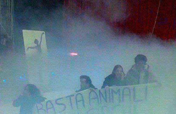 Attiviste nonviolente prese a calci e pugni dai circensi del circo “Royal” Orfei” a Torino