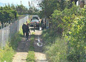 Bimbo di 15 mesi azzannato e ucciso da due pitbull