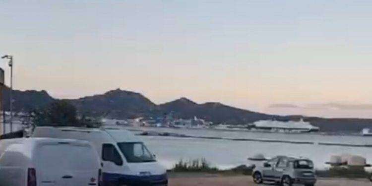 Cinghiali a spasso per Olbia, petizione degli abitanti