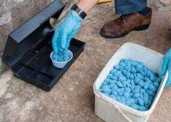 Cagliari, derattizzazioni in città da martedì 16 a giovedì 18 aprile 2024