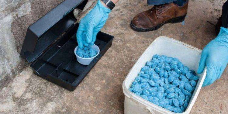 Cagliari, derattizzazioni in città da martedì 16 a giovedì 18 aprile 2024