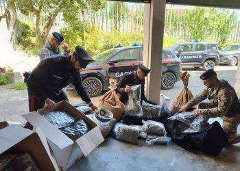 Oltre 90 kg di droga per mercato estivo, due arresti nel Nuorese