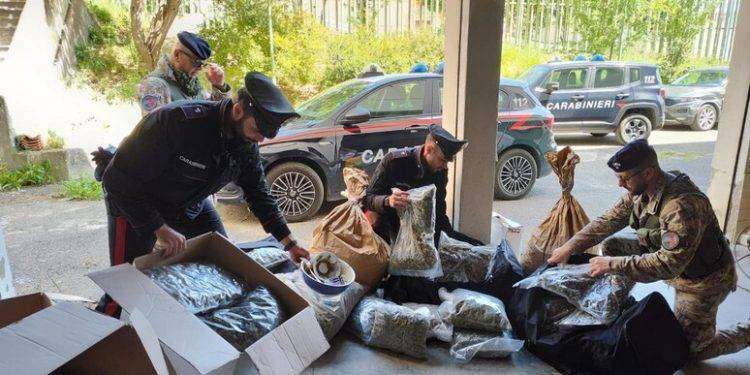 Oltre 90 kg di droga per mercato estivo, due arresti nel Nuorese
