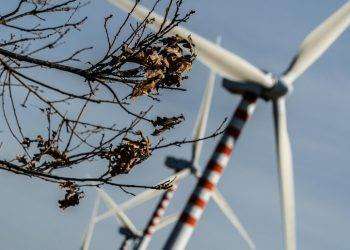 Petizione online contro speculazione delle energie rinnovabili