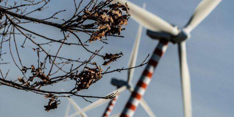 Petizione online contro speculazione delle energie rinnovabili