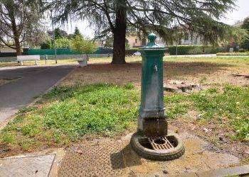 Cagliari, fontanelle dell’area cani di Terramaini temporaneamente chiuse