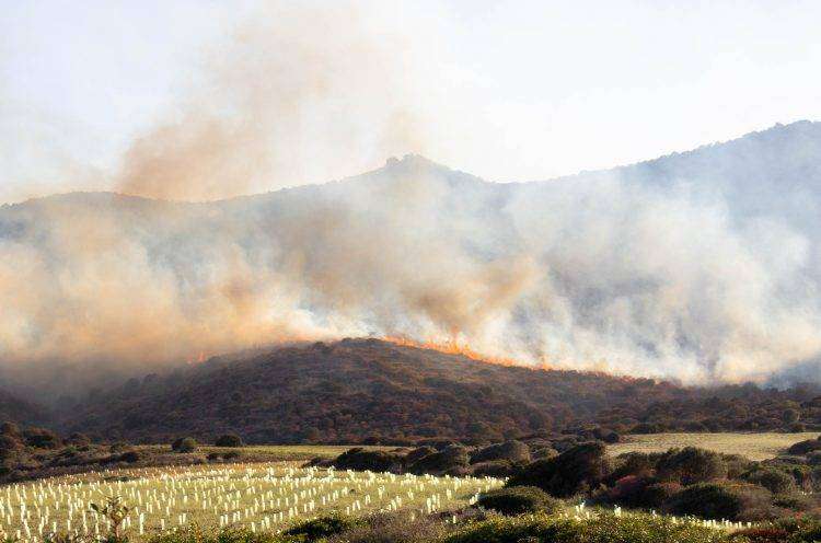 Domato il vastissimo incendio di Sarroch