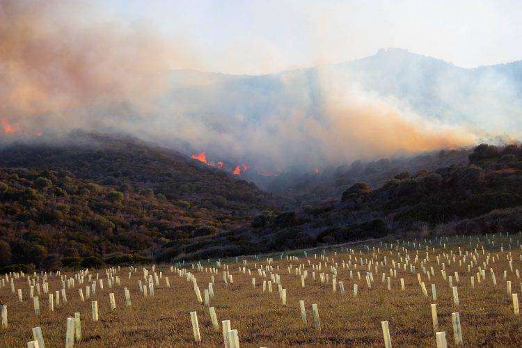 Domato il vastissimo incendio di Sarroch
