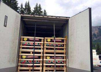 Sardegna maglia nera nel trasporto dei prodotti alimentari