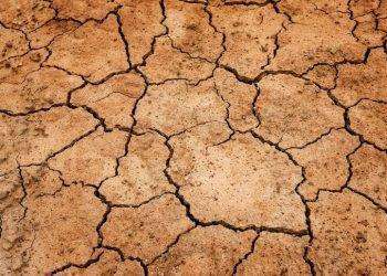 Emergenza siccità a Muravera, Comune proclama stato di calamità