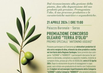 Concorso “Terra d’Olio 2024”, aperte le iscrizioni a Sorso