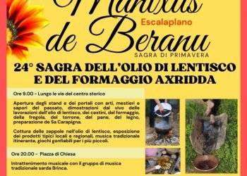 Sagra dell’Olio di Lentisco 2024 a Escalaplano: Ecco il programma completo del 19 maggio 2024