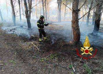 Fiamme nel sassarese, vasto incendio all’interno dell’azienda San Martino